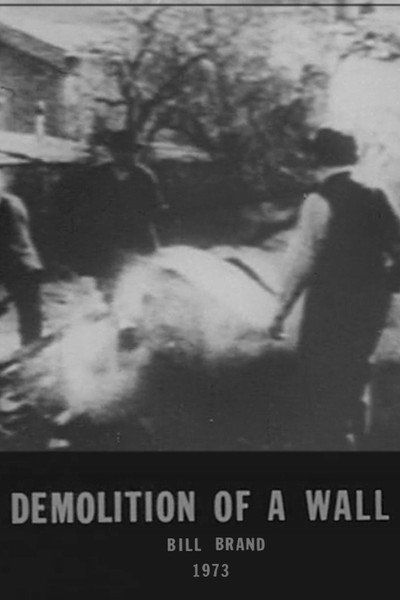 Póster de Demolition of a Wall