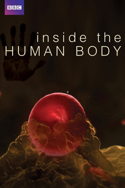 Póster de Dentro del cuerpo humano