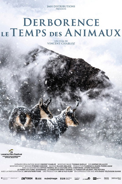 Póster de Derborence the Age of Animals