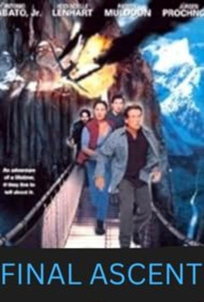 Póster de Descenso final