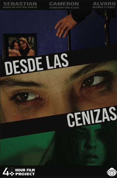Póster de Desde las Cenizas