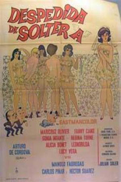 Póster de Despedida de soltera