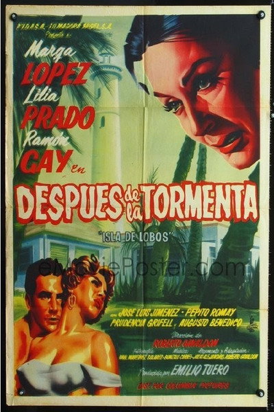 Póster de Después de la tormenta