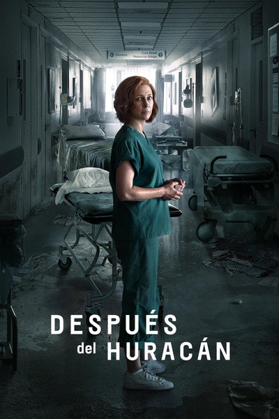 Póster de Después del huracán