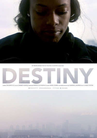 Póster de Destiny