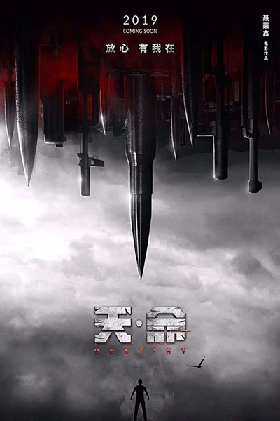 Póster de Destiny