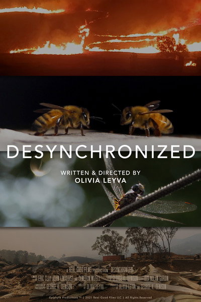 Póster de Desynchronized
