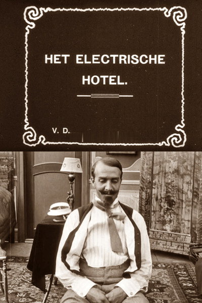 Póster de Det elektriske Hotel