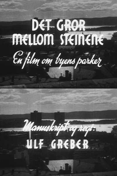 Póster de Det gror mellom steinene