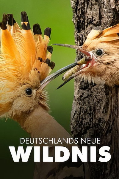 Póster de Deutschlands neue Wildnis