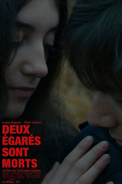 Póster de Deux égarés sont morts