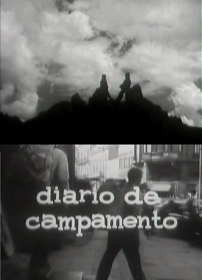 Póster de Diario de campamento