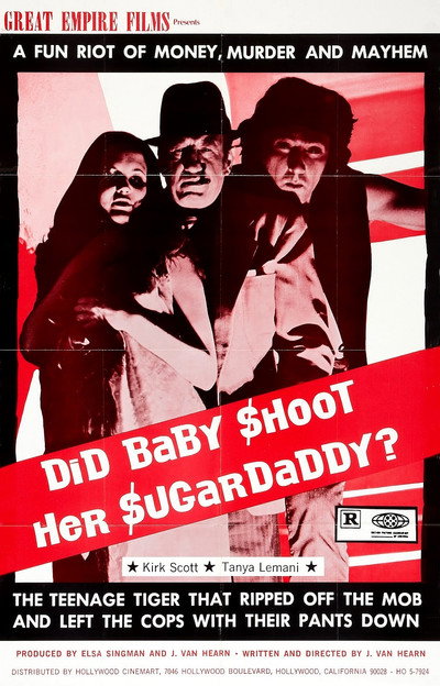 Póster de Did Baby Shoot Her Sugardaddy?