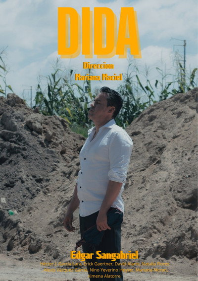 Póster de Dida