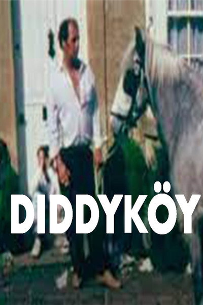 Póster de Diddyköy
