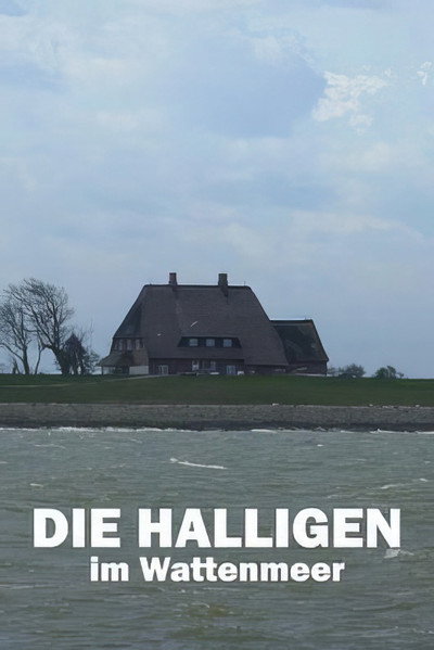 Póster de Die Halligen im Wattenmeer