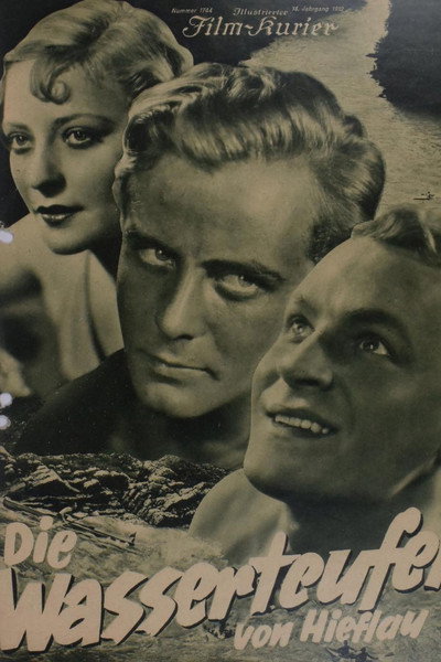 Póster de Die Wasserteufel von Hieflau