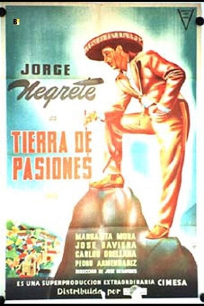 Póster de Diego Banderas
