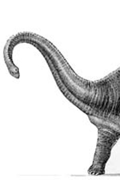 Póster de Diplodocus at Large