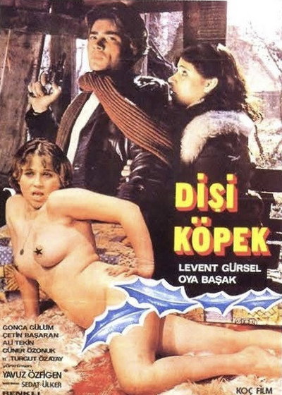 Póster de Disi Köpek