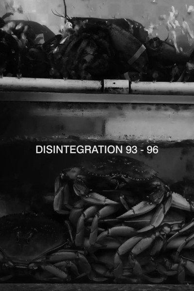 Póster de Disintegration 93-96