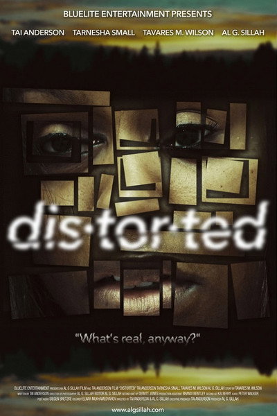 Póster de Distorted