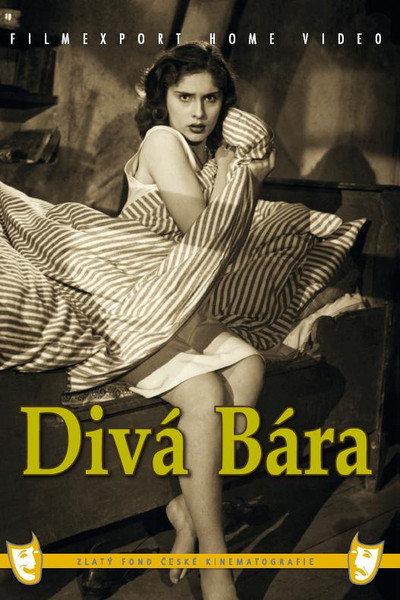 Póster de Divá Bára