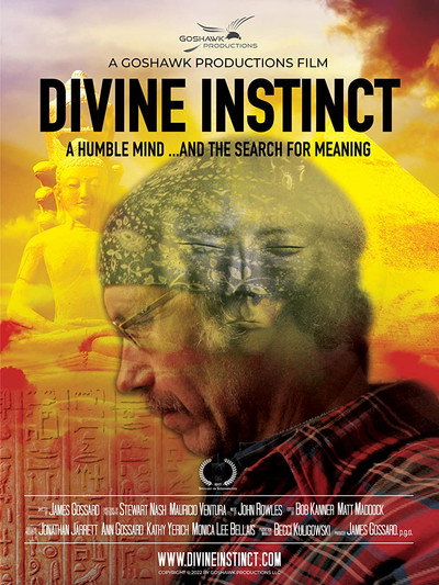 Póster de Divine Instinct