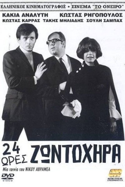 Póster de Divorcee for 24 Hours