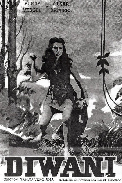 Póster de Diwani