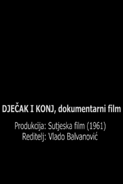 Póster de Djecak i konj