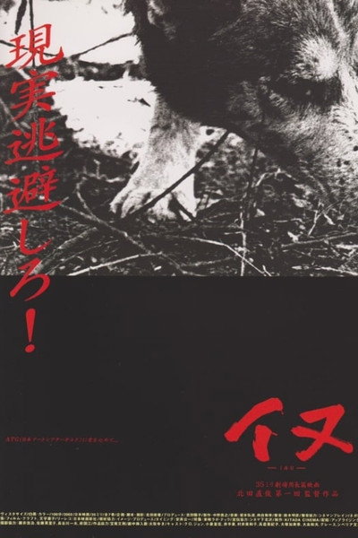 Póster de Dog