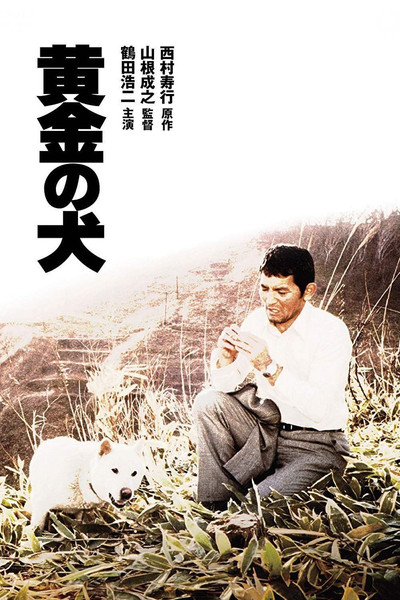 Póster de Dog of Fortune