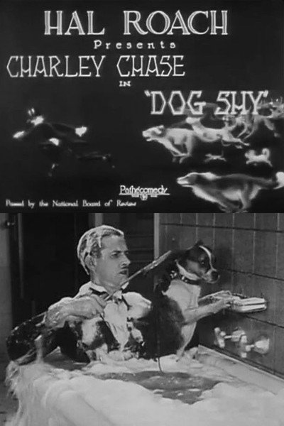 Póster de Dog Shy