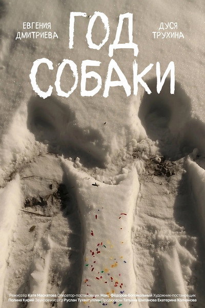 Póster de Dog Year