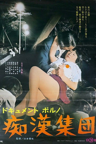 Póster de Dokyumento-poruno: Chikan shûdan