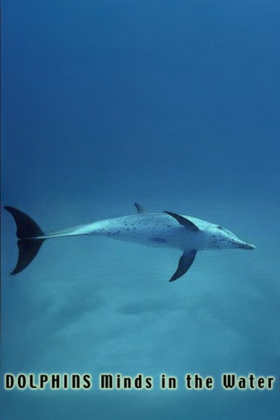 Póster de Dolphins: Minds in the Water