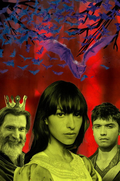 Póster de Donkey Princess