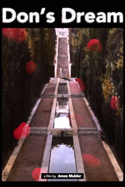 Póster de Don's Dream
