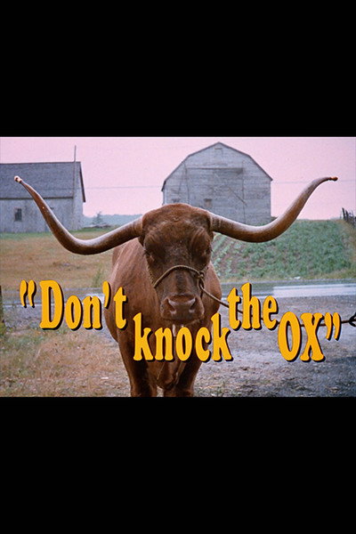 Póster de Don't Knock the Ox