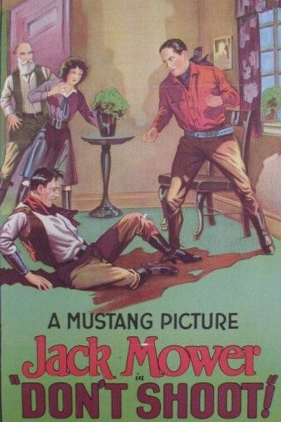 Póster de Don't Shoot