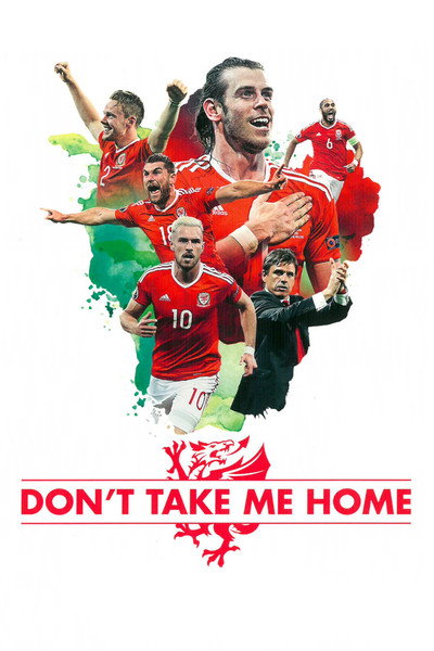 Póster de Don't Take Me Home