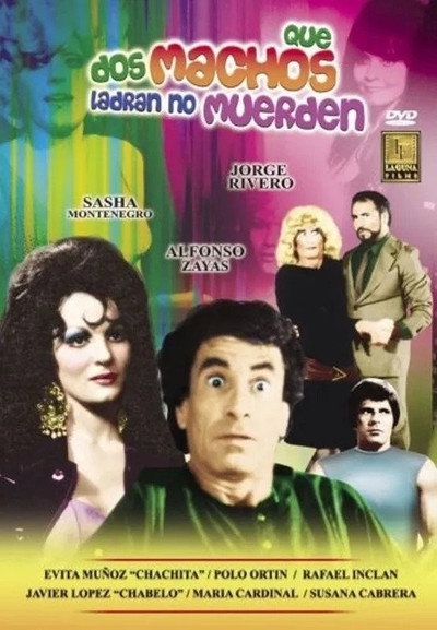 Póster de Dos machos que ládran no muerden