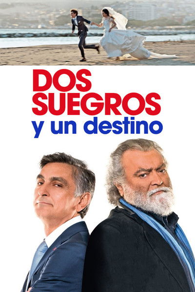 Póster de Dos suegros y un destino