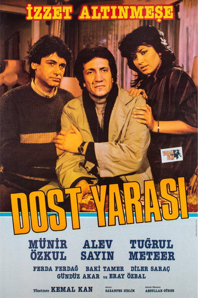 Póster de Dost Yarasi