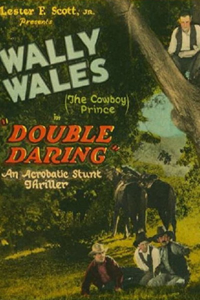 Póster de Double Daring