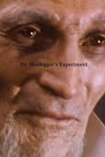 Póster de Dr. Heidegger's Experiment