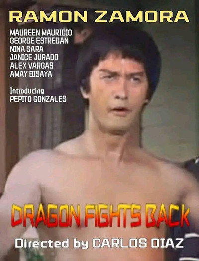 Póster de Dragon Fights Back