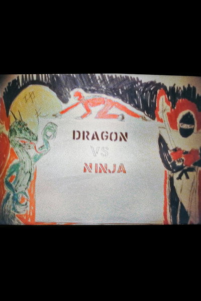 Póster de Dragon vs. Ninja