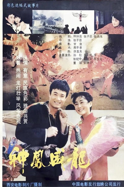Póster de Dragons and Kites